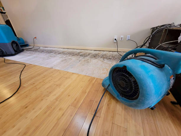 Professional Water Extraction technician working in Vinalhaven, ME